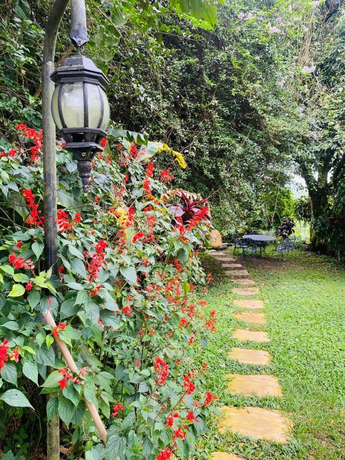 Finca Hotel Los Girasoles モンテネグロ エクステリア 写真
