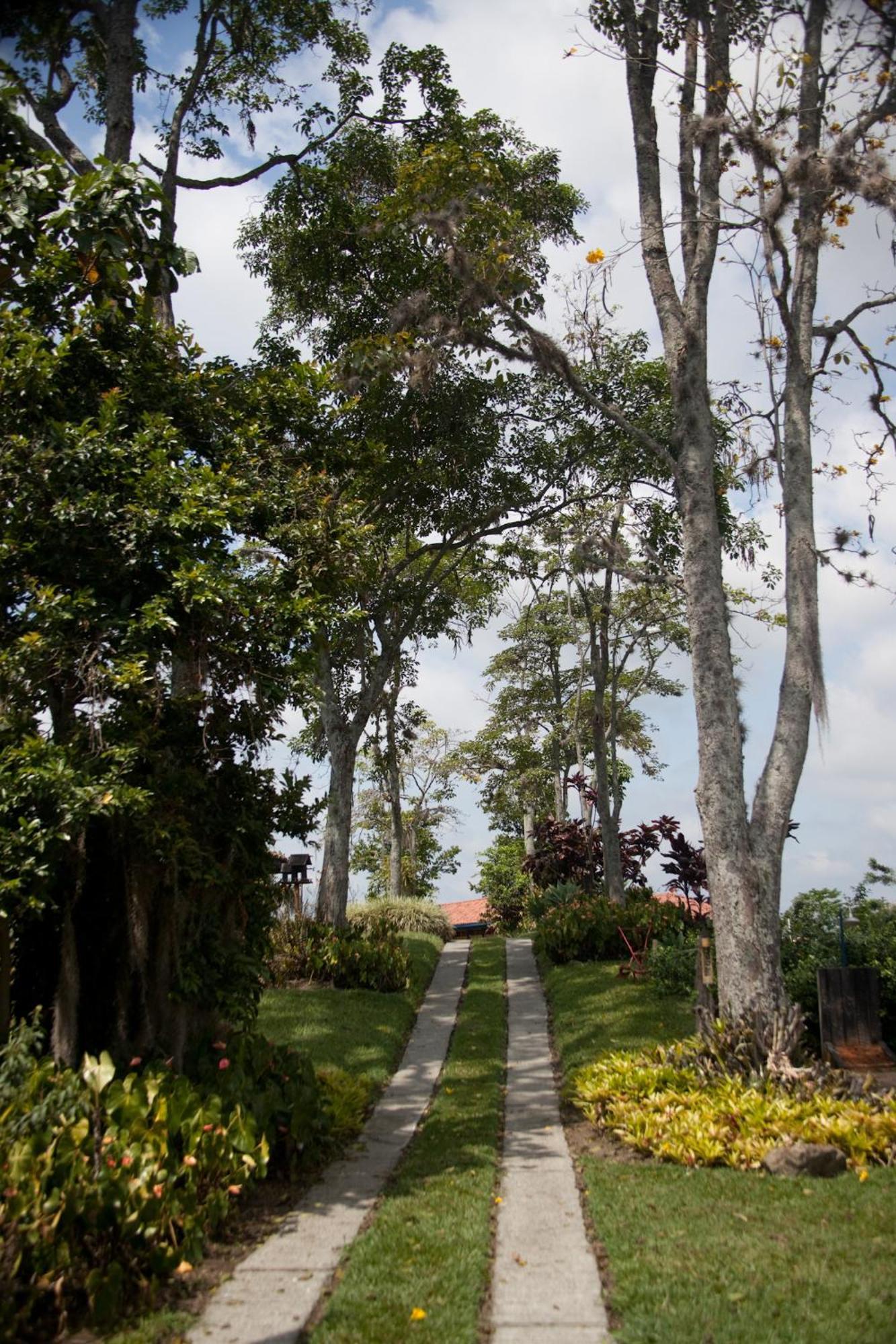 Finca Hotel Los Girasoles モンテネグロ エクステリア 写真